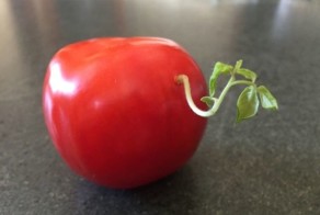 19 картинок, которые беспричинно причинят вам дискомфорт