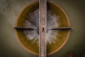 Разные и веселые картинки из сети