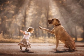 Маленькие дети и их большие собаки