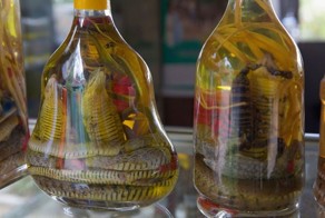 Список самых странных блюд со всего мира