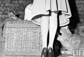 Когда чулки были роскошью