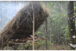 Как сделать лесную кровать с подогревом с помощью примитивных технологий