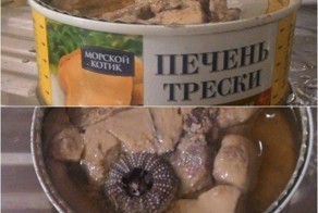 Внеземное существо в печени трески