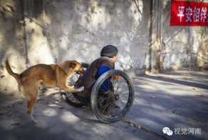 Жена с хвостом: каждое утро эта собака катит коляску с инвалидом на городской базар