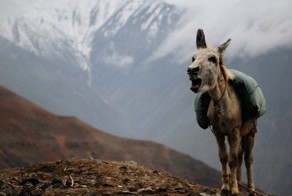 "Шуруп" Рассказ бывшего пограничника