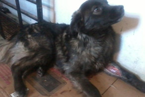 И куда его теперь девать