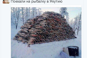 Комментарии и картинки из сети