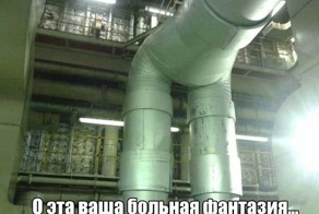  Подборка прикольных фото