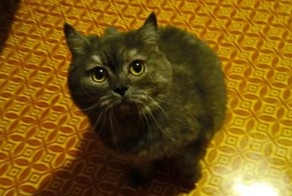 У меня появился друг