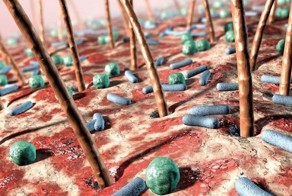 Обычные вещи под микроскопом