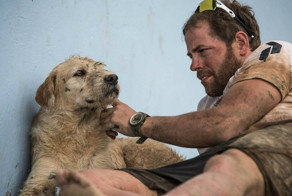 Спортсмены накормили бездомную собаку и не подозревали, к чему это приведет