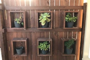  Сможете увидеть 1,8-метровую змею на этом фото?