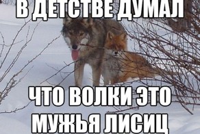 Смешные картинки с надписями 