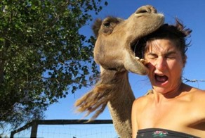 Самые смешные отпускные фотобомбы всех времен