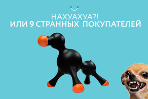 Неудержимый чихуахуа и 9 странных покупателей в Интернет