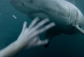  15 леденящих душу видео, снятых на gopro