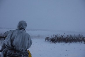 Один день в гостях у оленеводов