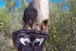 Храбрый житель Мадагаскара собирает мед диких пчел голыми руками