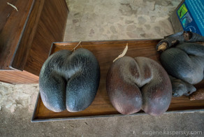 В стране дремучих трав