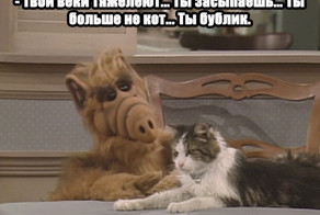  Цитаты инопланетного Альфа