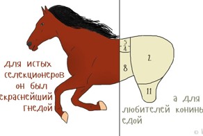 Короткие и ёмкие стихи Игоря Бергера