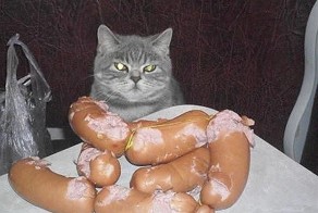 Жизненные неприятности