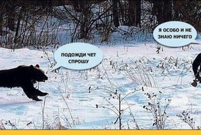  Охота на медведя