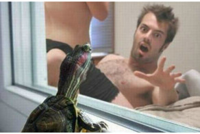  Не подсматривай, иначе увидишь то, что приведет к разводу