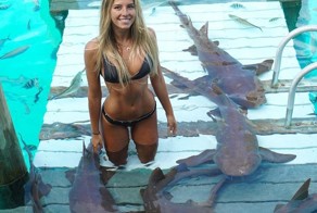 Студентка юрфака путешествует по самым экзотическим местам, фотографируясь с акулами