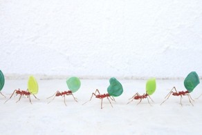 Красивые миниатюрные фигурки насекомых из стекла