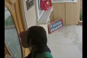 Собака кукушка