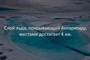 Интересные факты обо всем