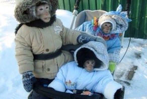 Для настроения