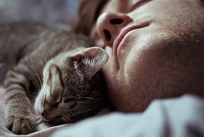 Для чего кошки ложатся спать с хозяевами?