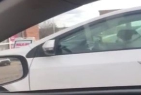 Оставленная в машине собака начала сигналить в автомобильный гудок, чтобы её хозяйка побыстрее вернулась