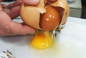 Курица снесла слишком большое яйцо и хозяйка решила проверить, что там внутри