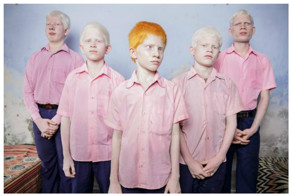 Отмеченные и высветленные природой