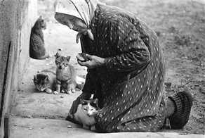 Литва советская Ромуальдаса Пожерскиса