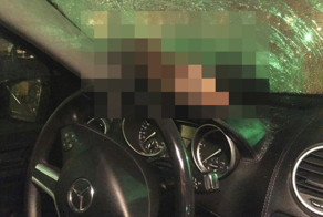 Дикий гусь головой пробил лобовое стекло автомобиля