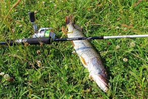 Вот и помогай после этого людям