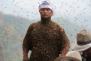 Вы удивитесь, когда узнаете, зачем этот человек ходит в костюме из пчел