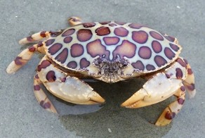 Забавные картинки из сети