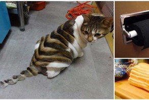16 фотографий, которые заставят вас почувствовать себя неловко
