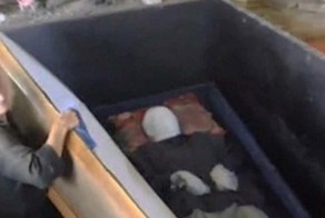 15 историй про людей, которые жили рядом с трупами