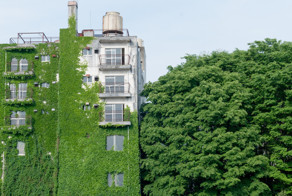 Утопающие в зелени: здания и сооружения, которые полностью слились с природой