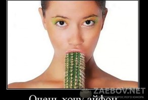 Пошленькие демотиваторы про женщин!