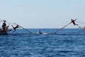 6 самых безрассудных и опасных способов, которыми люди до сих под добывают себе пропитание