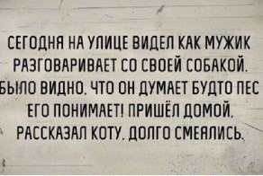 "Про кошку и собаку"