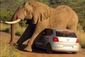 Отпуск из Ада: фотографии из турпоездок, в которых что-то пошло не так