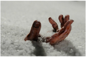 Подснежниковый сленг